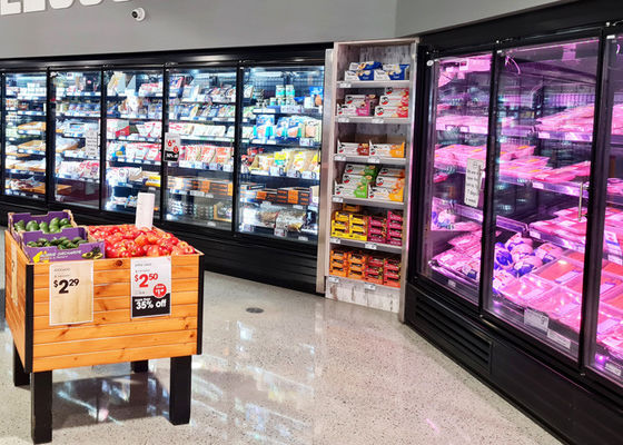 Supermarket Pintu Kaca Tegak Display Freezer Suhu Rendah
