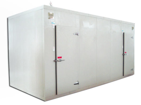 Supermarket Walk In Freezer Convenience Store Restoran Baja warna hotel