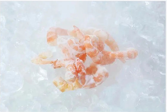Mesin Pembuat Es Sterilisasi UV Kecil Frost Gratis Pembongkaran Diam Gratis