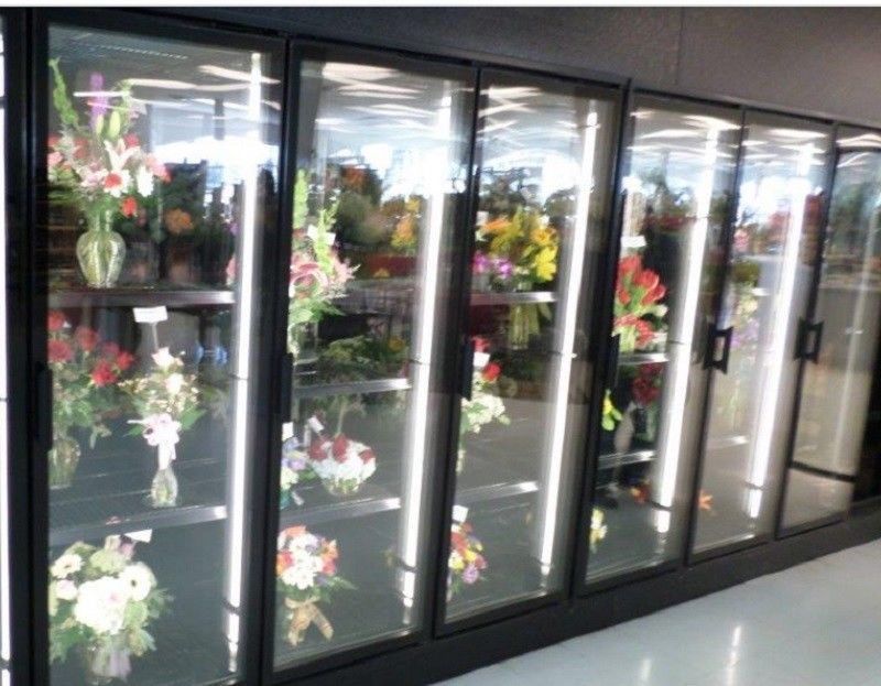 Floral Display Walk In Coolers berjalan di pendingin pintu kaca baja berwarna